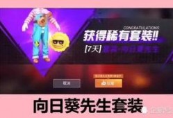 葵花皮肤爆料视频下载最新,视觉盛宴，探索神秘力量